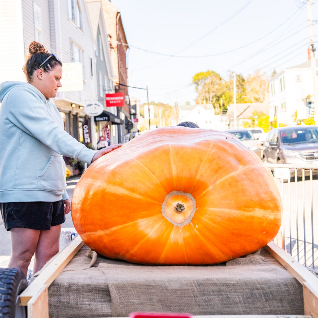 Kelsey Cole touching giant pumpkin to be carved.
