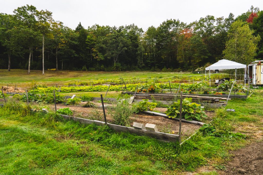Vegetable garden raised bed in a big field surrounded by trees with awning in background. 