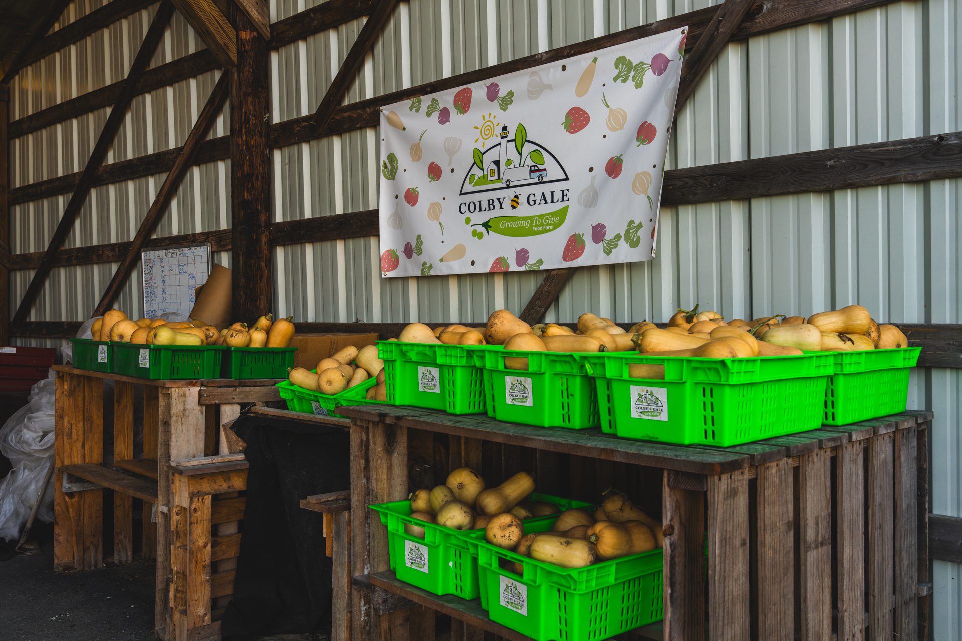 Buckets full of squash in front of Colby & Gale banner promoting food farm