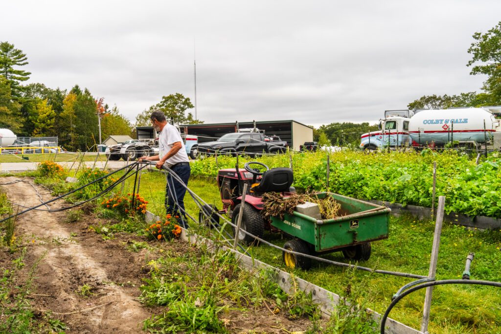 Orville Mooney pulling water line from garden bed.