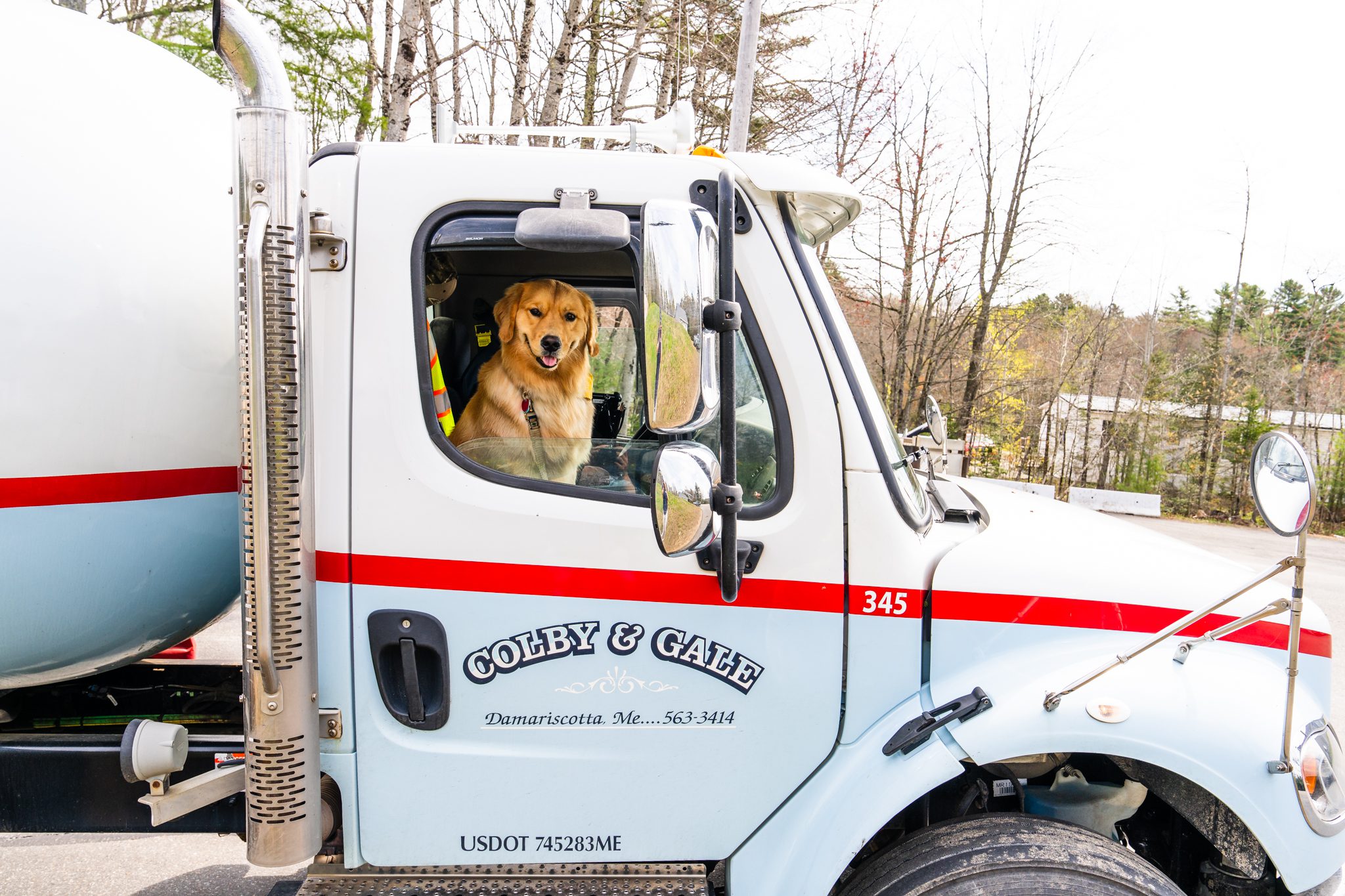 Wally the dog in Colby & Gale truck passenger seat.